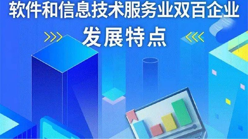 生产型信息技术服务：揭秘厂家报价背后的考量**
